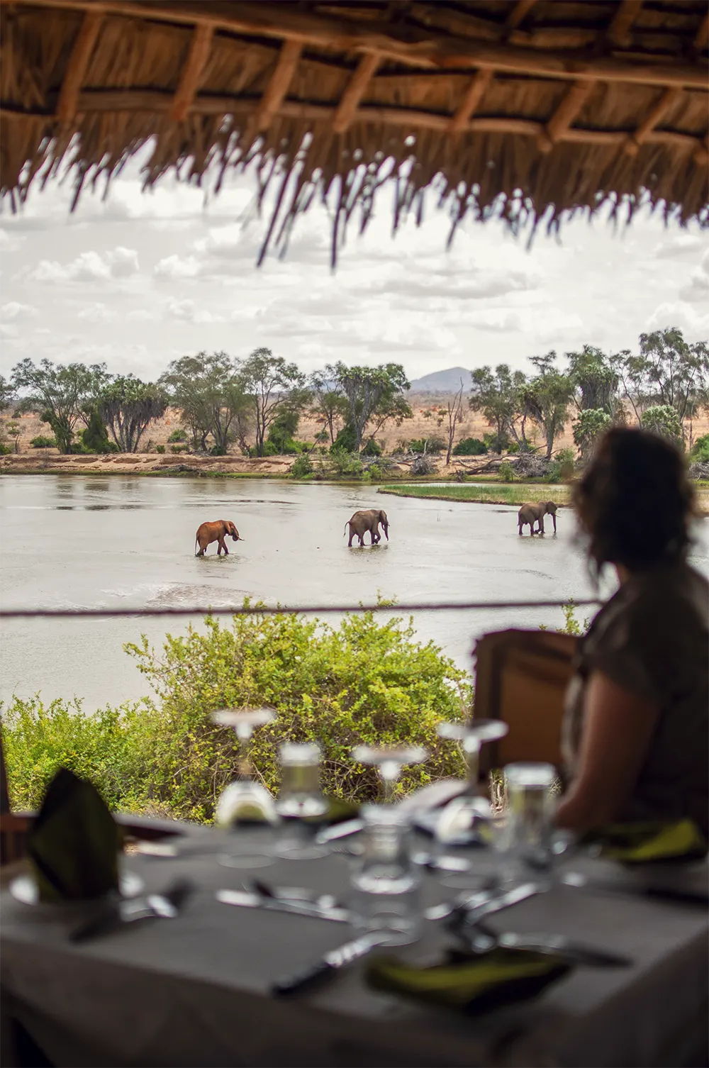 Restaurant overlooking elephants by the river at Kudu Safari Camp