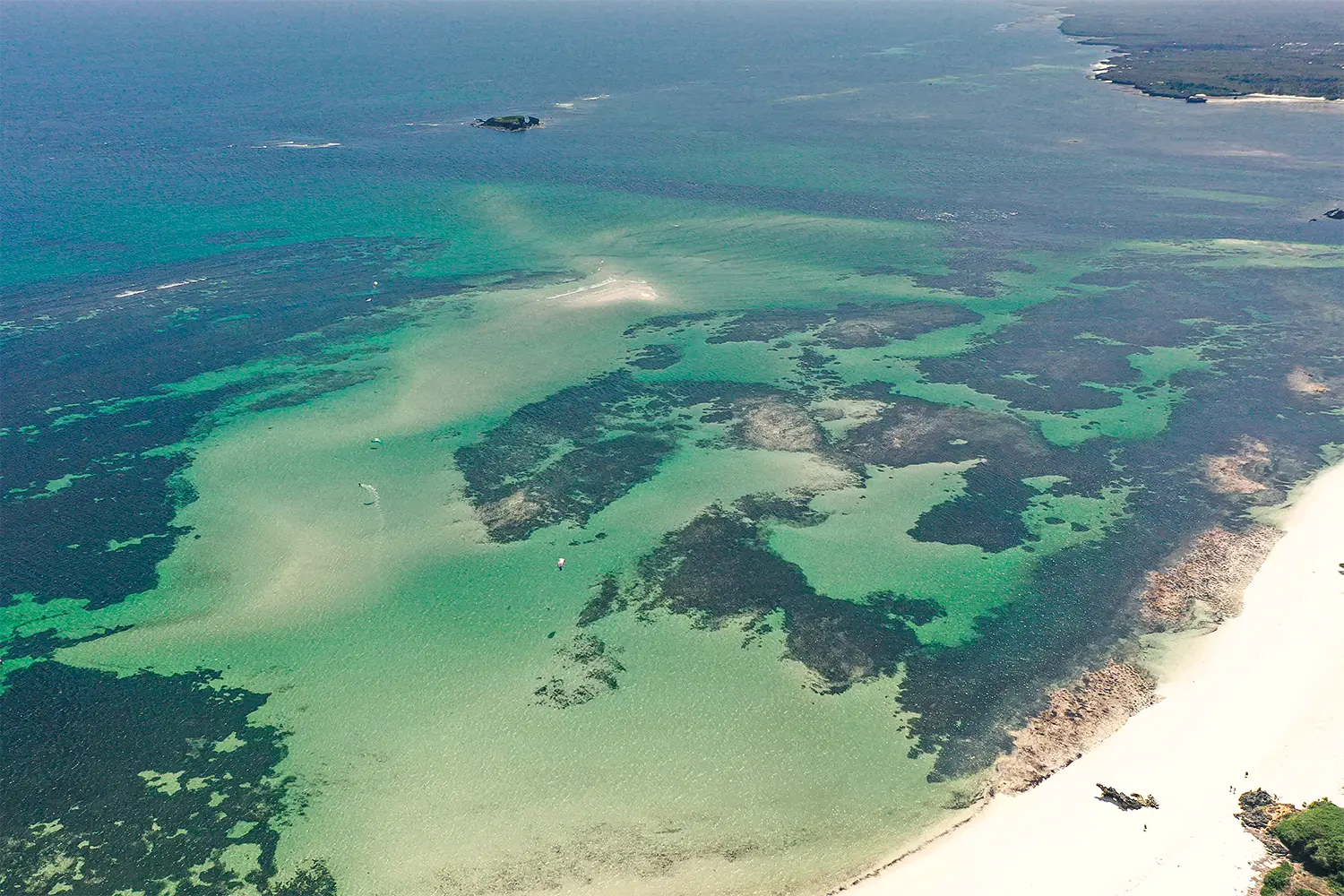 Crystal-clear waters and coral reefs of Watamu Marine National Park